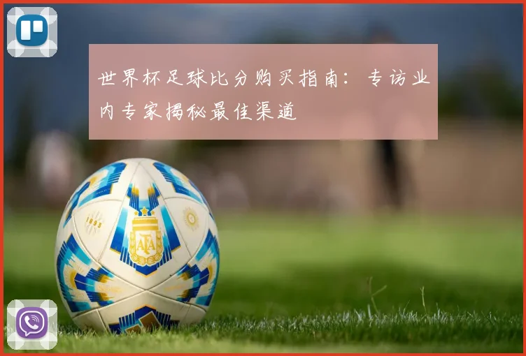 世界杯足球比分购买指南：专访业内专家揭秘最佳渠道